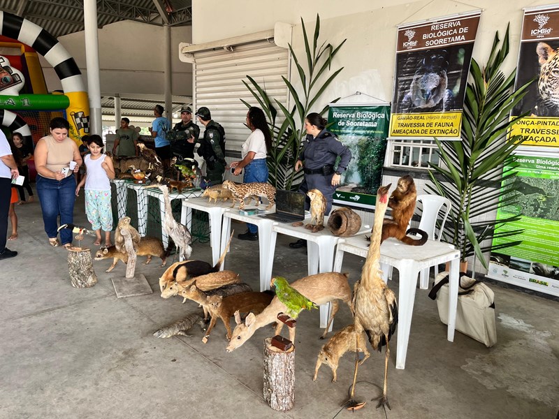 Foto: Reprodução/Polícia Militar - ES