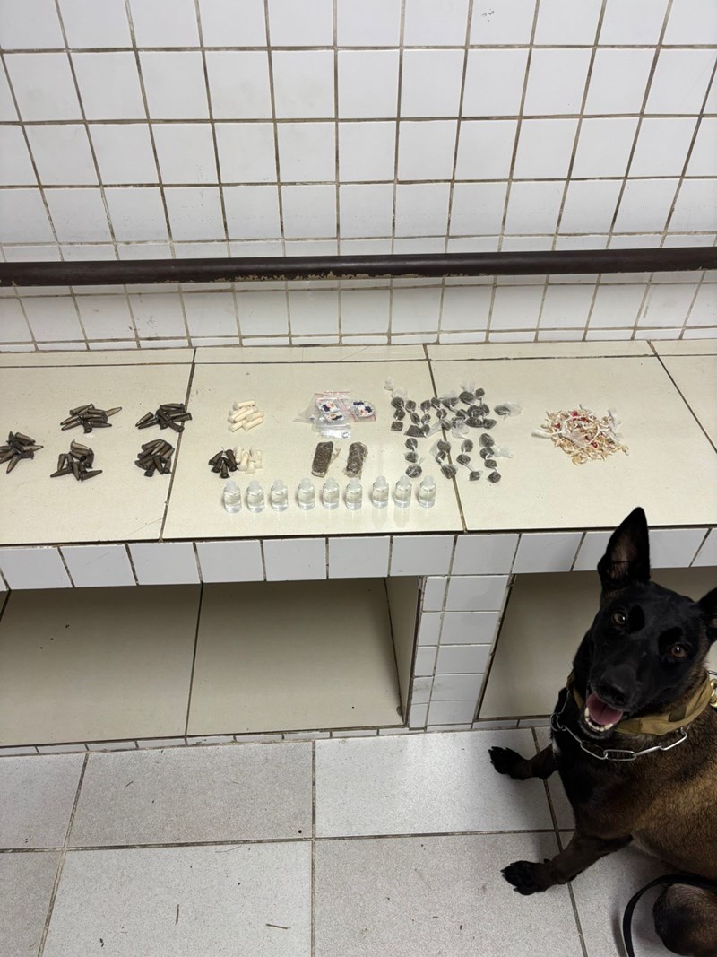 Foto: Reprodução/Polícia Militar - ES