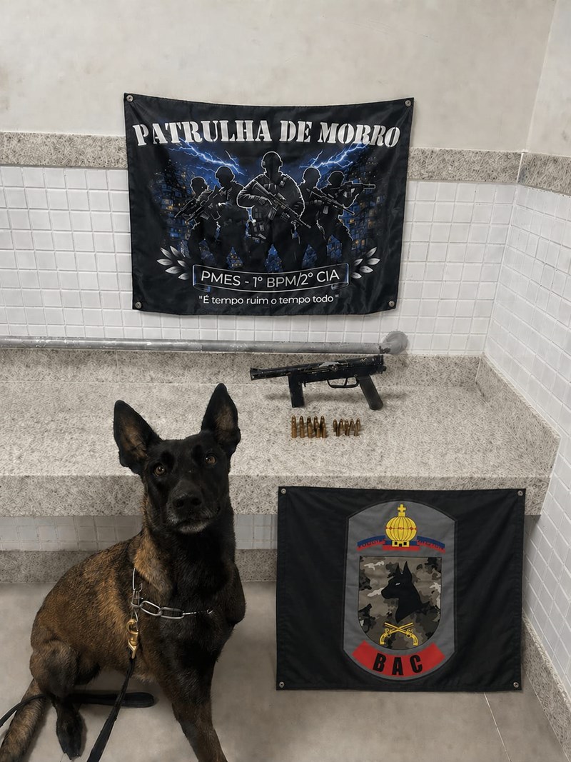 Foto: Reprodução/Polícia Militar - ES
