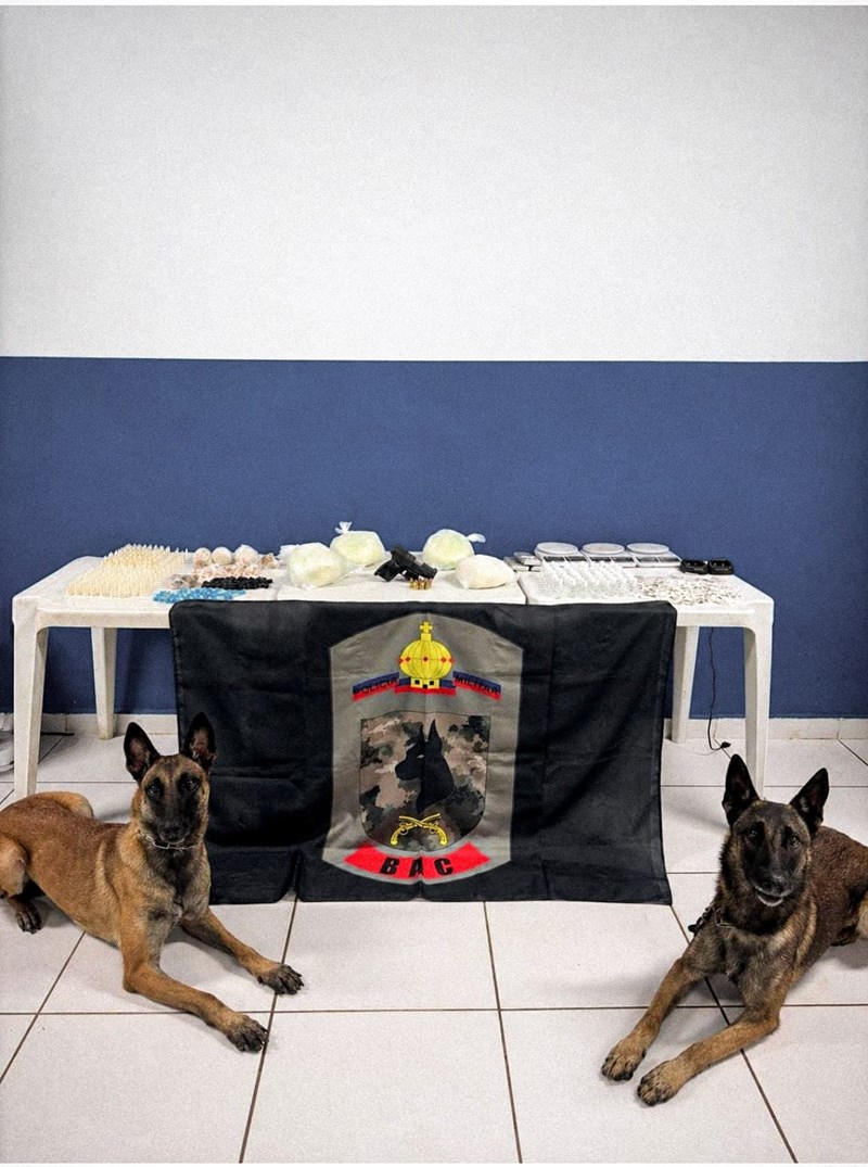 Foto: Reprodução/Polícia Militar - ES