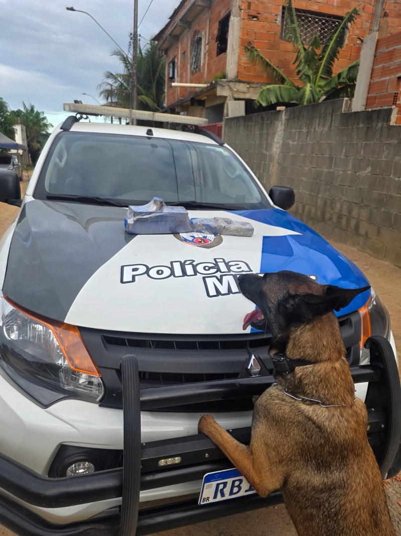 Foto: Reprodução/Polícia Militar - ES
