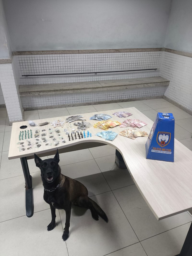 Foto: Reprodução/Polícia Militar - ES
