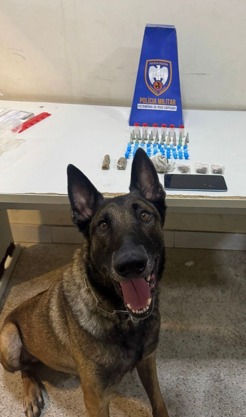 Foto: Reprodução/Polícia Militar - ES