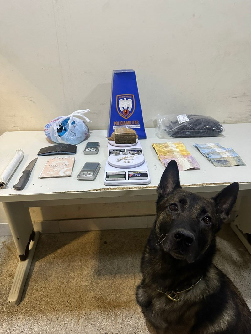 Foto: Reprodução/Polícia Militar - ES