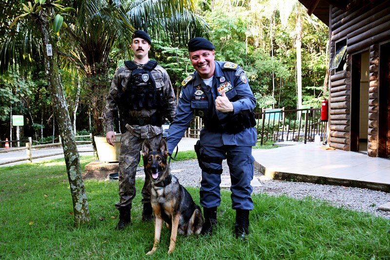 Foto: Reprodução/Polícia Militar - ES