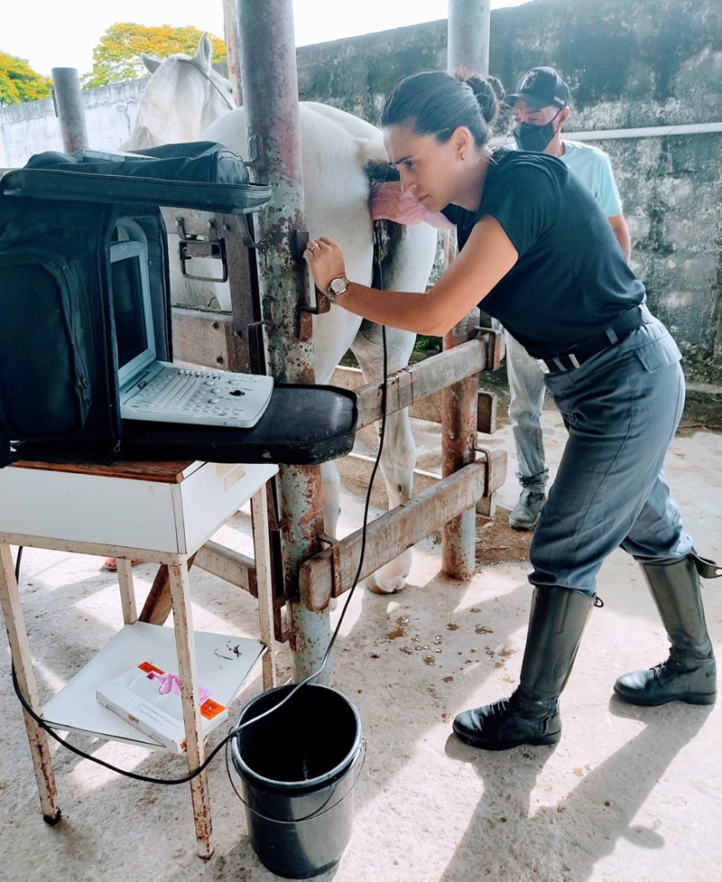 Foto: Reprodução/Polícia Militar - ES