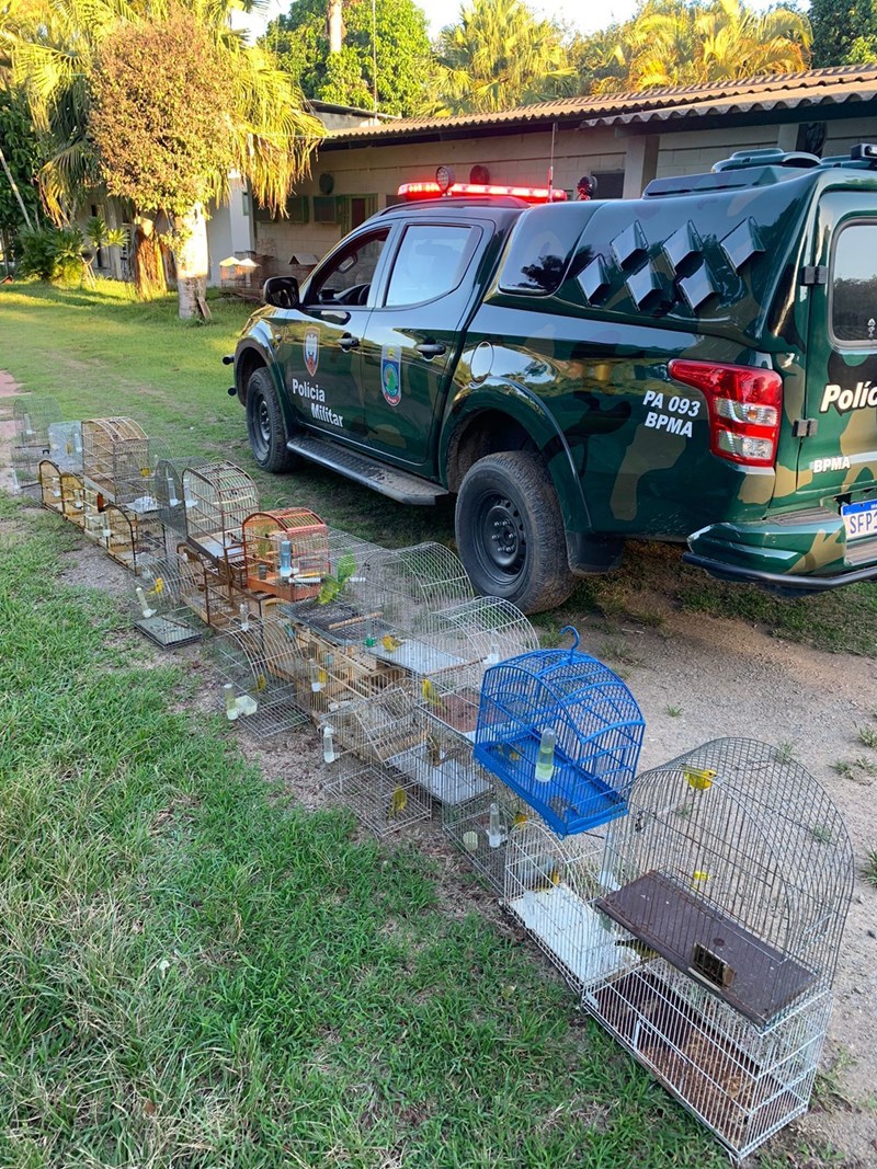 Foto: Reprodução/Polícia Militar - ES