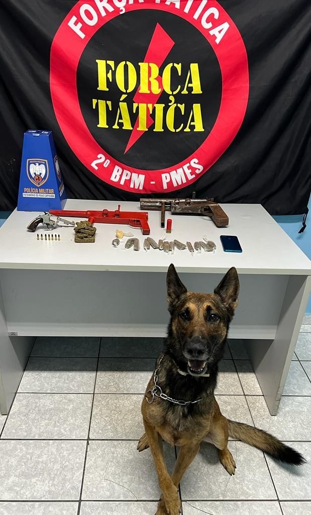 Foto: Reprodução/Polícia Militar - ES