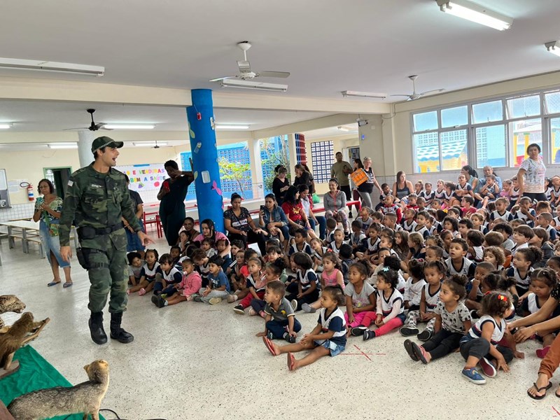 Foto: Reprodução/Polícia Militar - ES