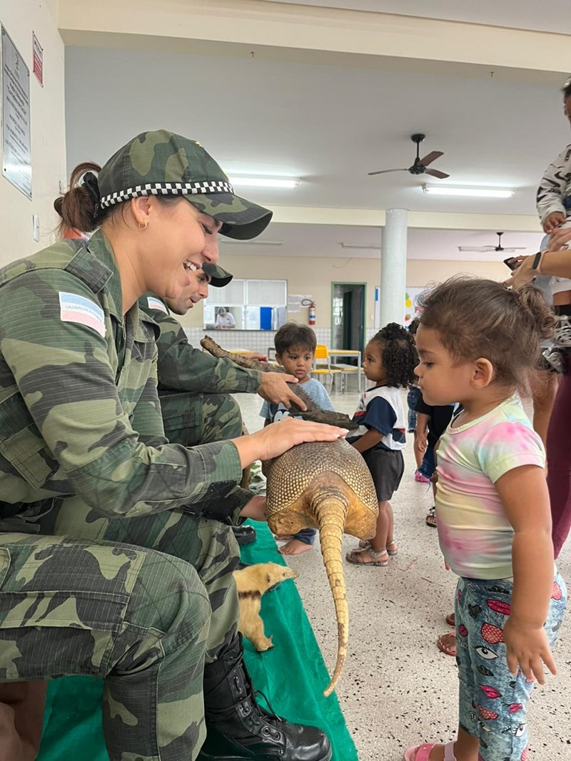 Foto: Reprodução/Polícia Militar - ES