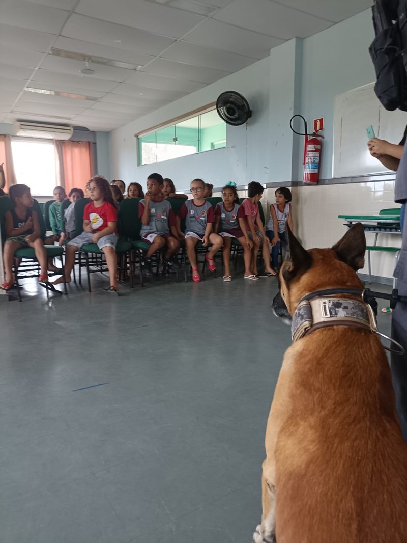 Foto: Reprodução/Polícia Militar - ES