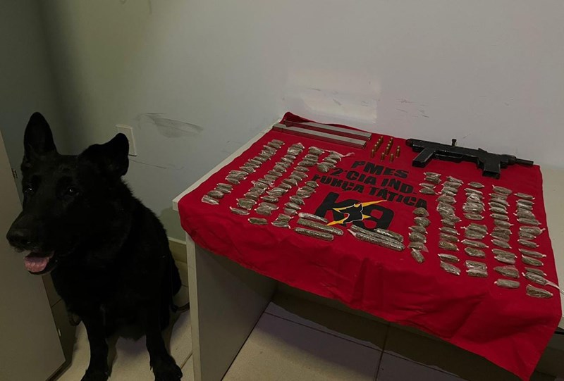 Foto: Reprodução/Polícia Militar - ES