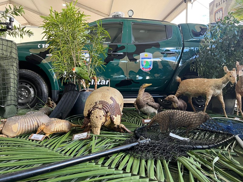 Foto: Reprodução/Polícia Militar - ES