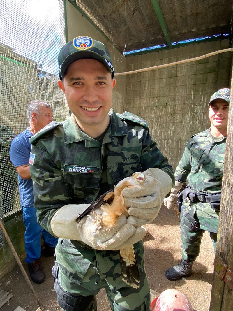 Foto: Reprodução/Polícia Militar - ES