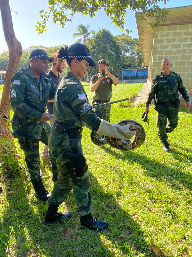 Foto: Reprodução/Polícia Militar - ES