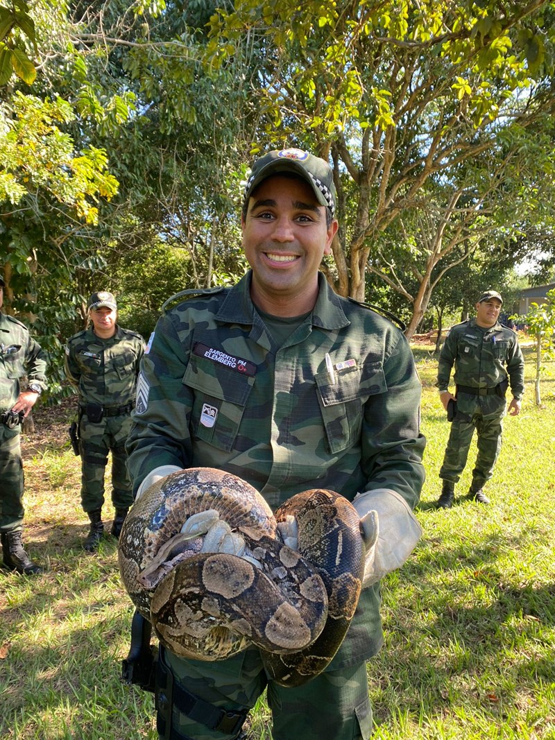 Foto: Reprodução/Polícia Militar - ES