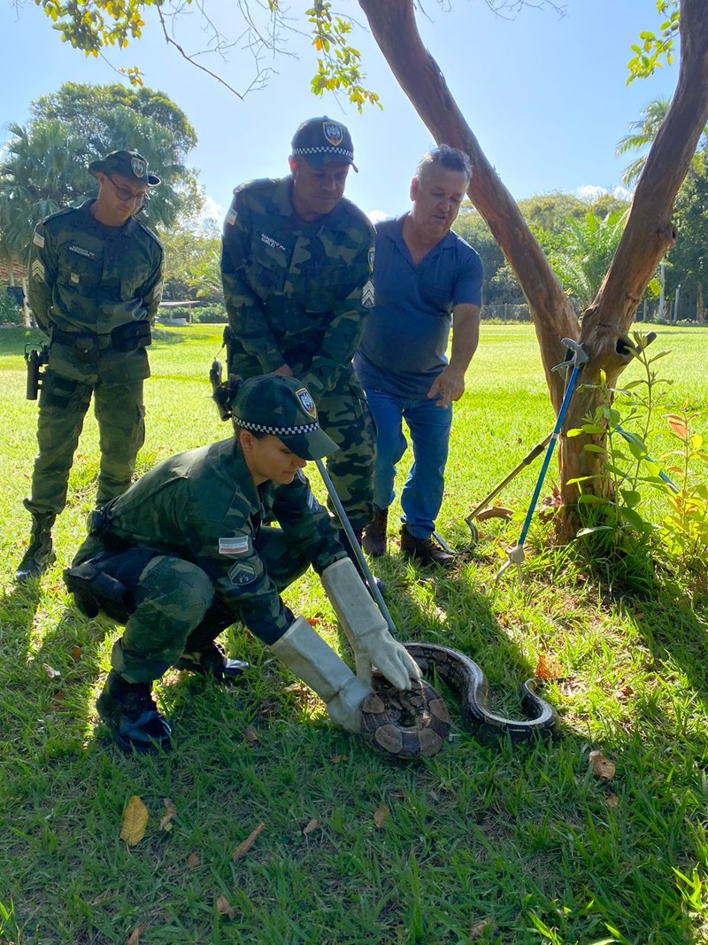 Foto: Reprodução/Polícia Militar - ES