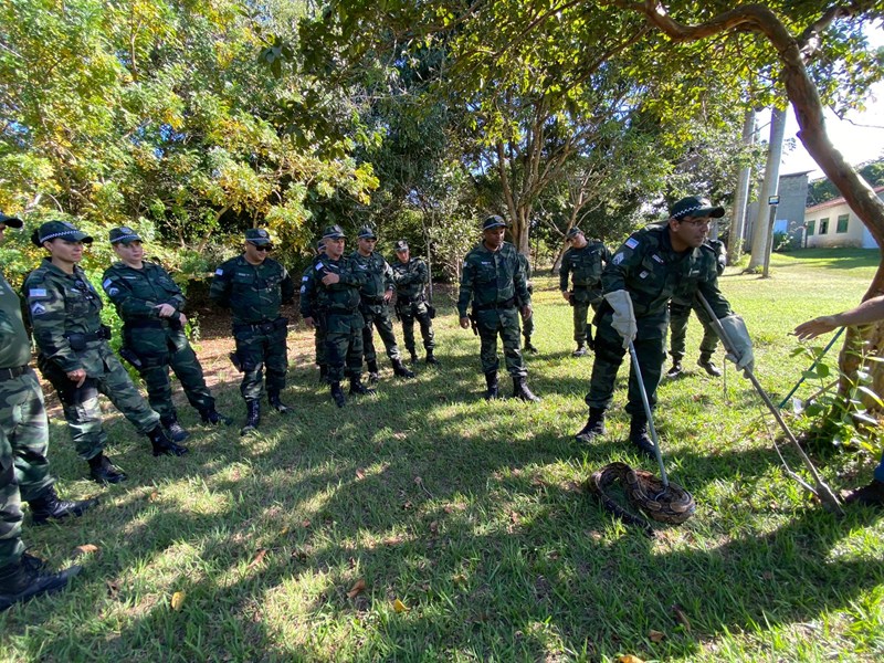 Foto: Reprodução/Polícia Militar - ES