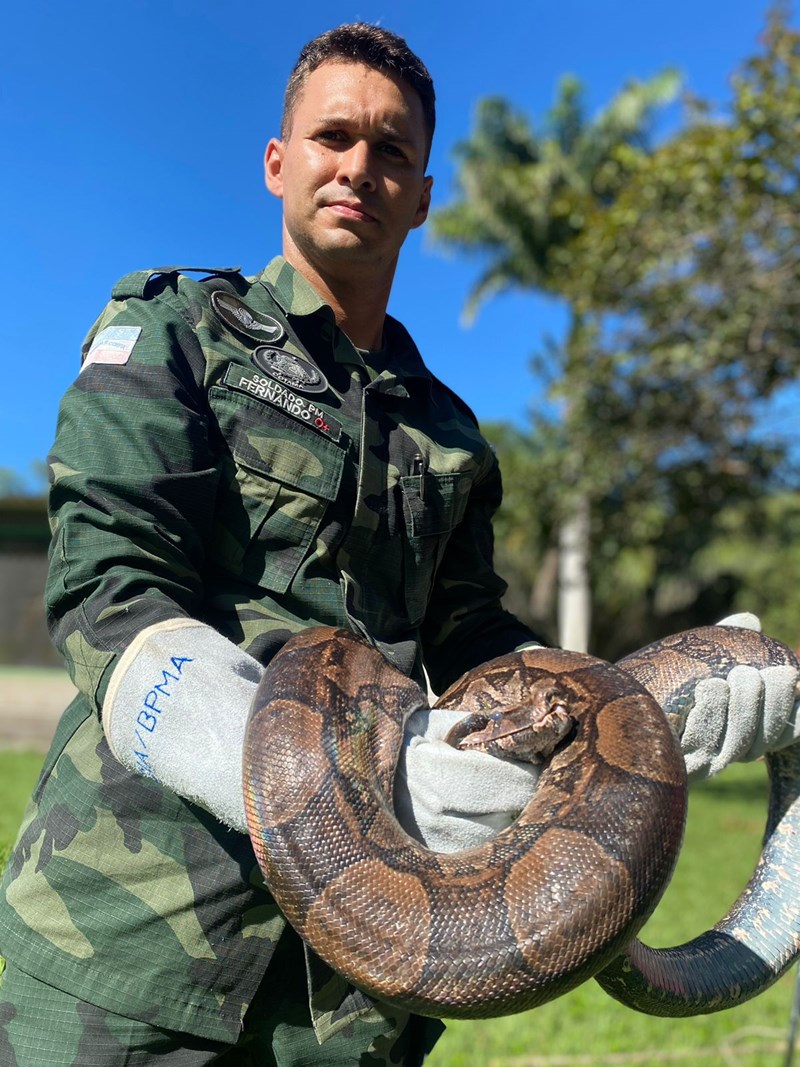 Foto: Reprodução/Polícia Militar - ES