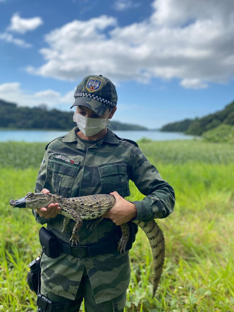 Foto: Reprodução/Polícia Militar - ES