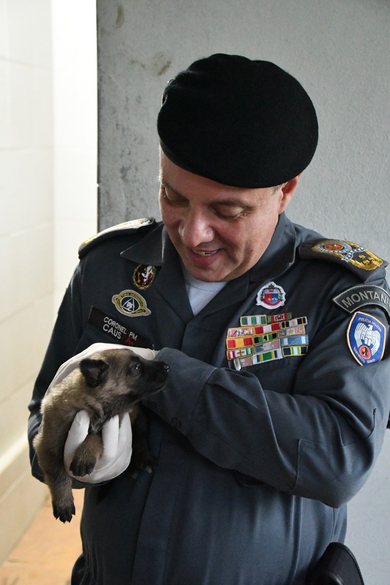 Foto: Reprodução/Polícia Militar - ES