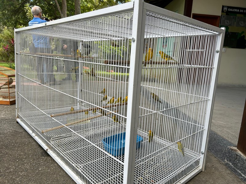 Foto: Reprodução/Polícia Militar - ES