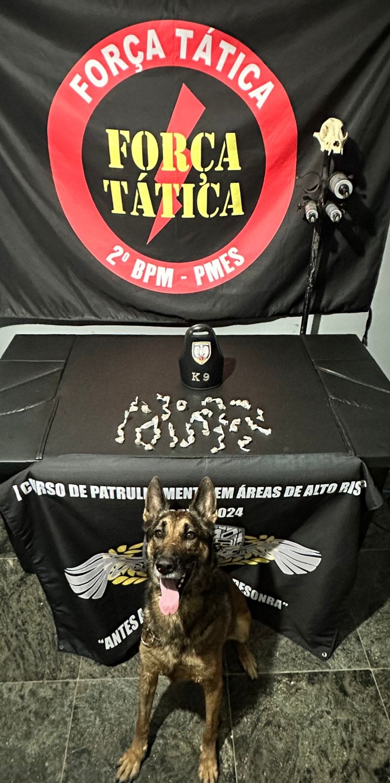 Foto: Reprodução/Polícia Militar - ES
