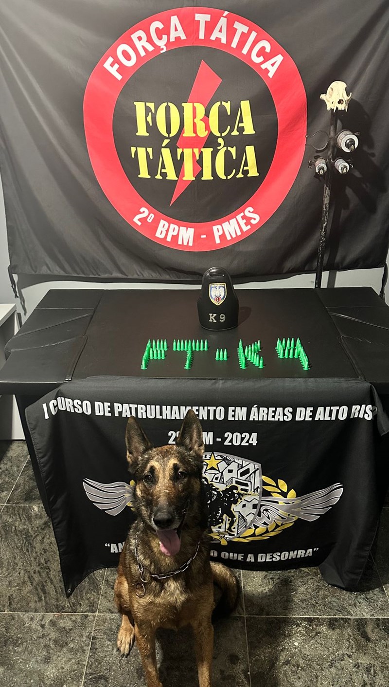 Foto: Reprodução/Polícia Militar - ES