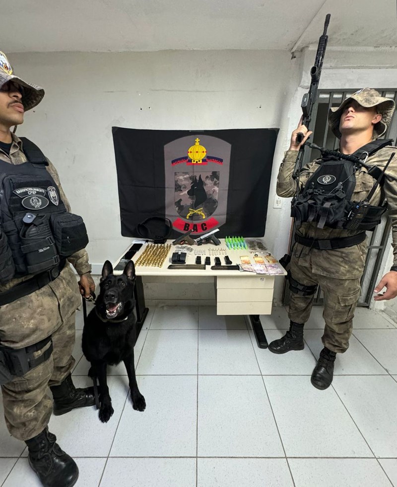 Foto: Reprodução/Polícia Militar - ES