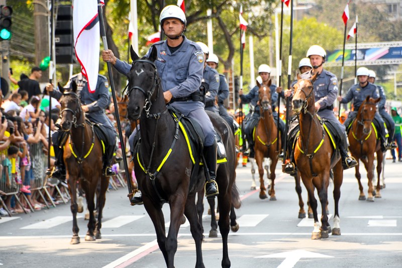 Foto: Reprodução/Polícia Militar - ES