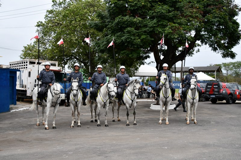 Foto: Reprodução/Polícia Militar - ES