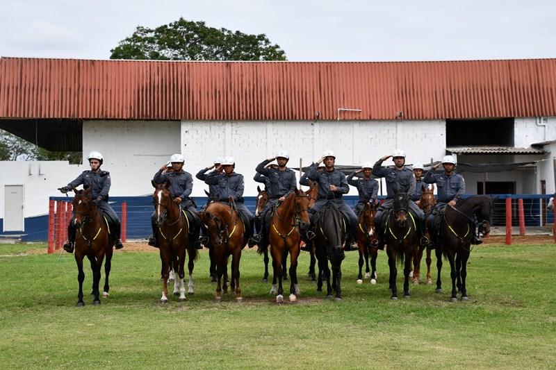 Foto: Reprodução/Polícia Militar - ES