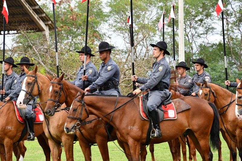 Foto: Reprodução/Polícia Militar - ES