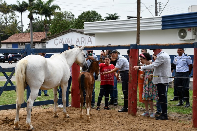 Foto: Reprodução/Polícia Militar - ES