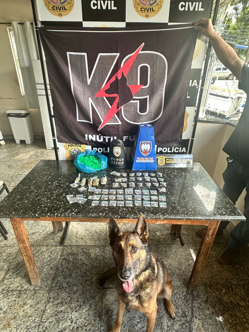 Foto: Reprodução/Polícia Militar - ES
