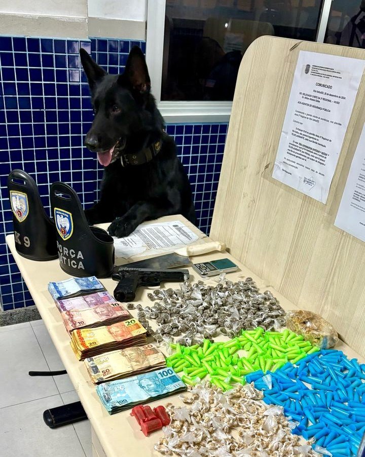 Foto: Reprodução/Polícia Militar - ES