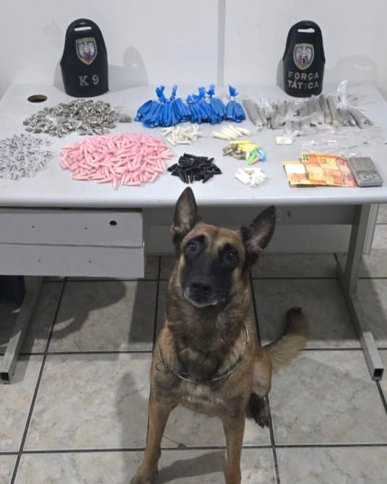 Foto: Reprodução/Polícia Militar - ES