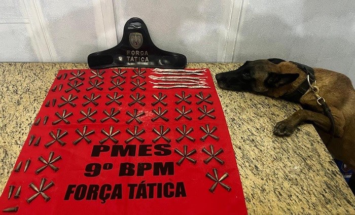 Foto: Reprodução/Polícia Militar - ES