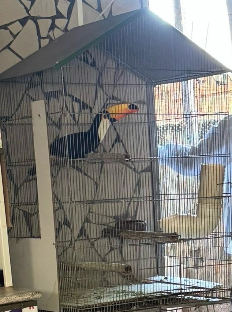 Foto: Reprodução/Polícia Militar - ES