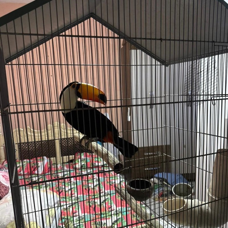 Foto: Reprodução/Polícia Militar - ES