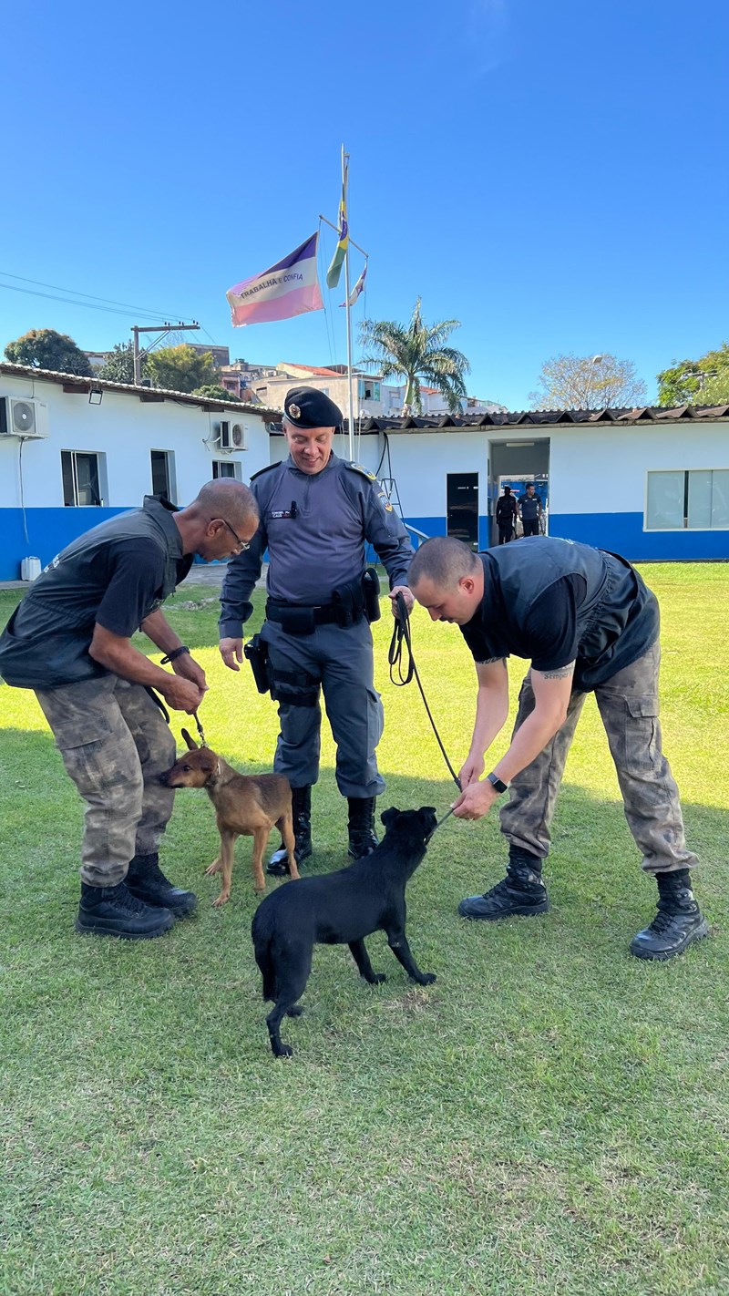 Foto: Reprodução/Polícia Militar - ES