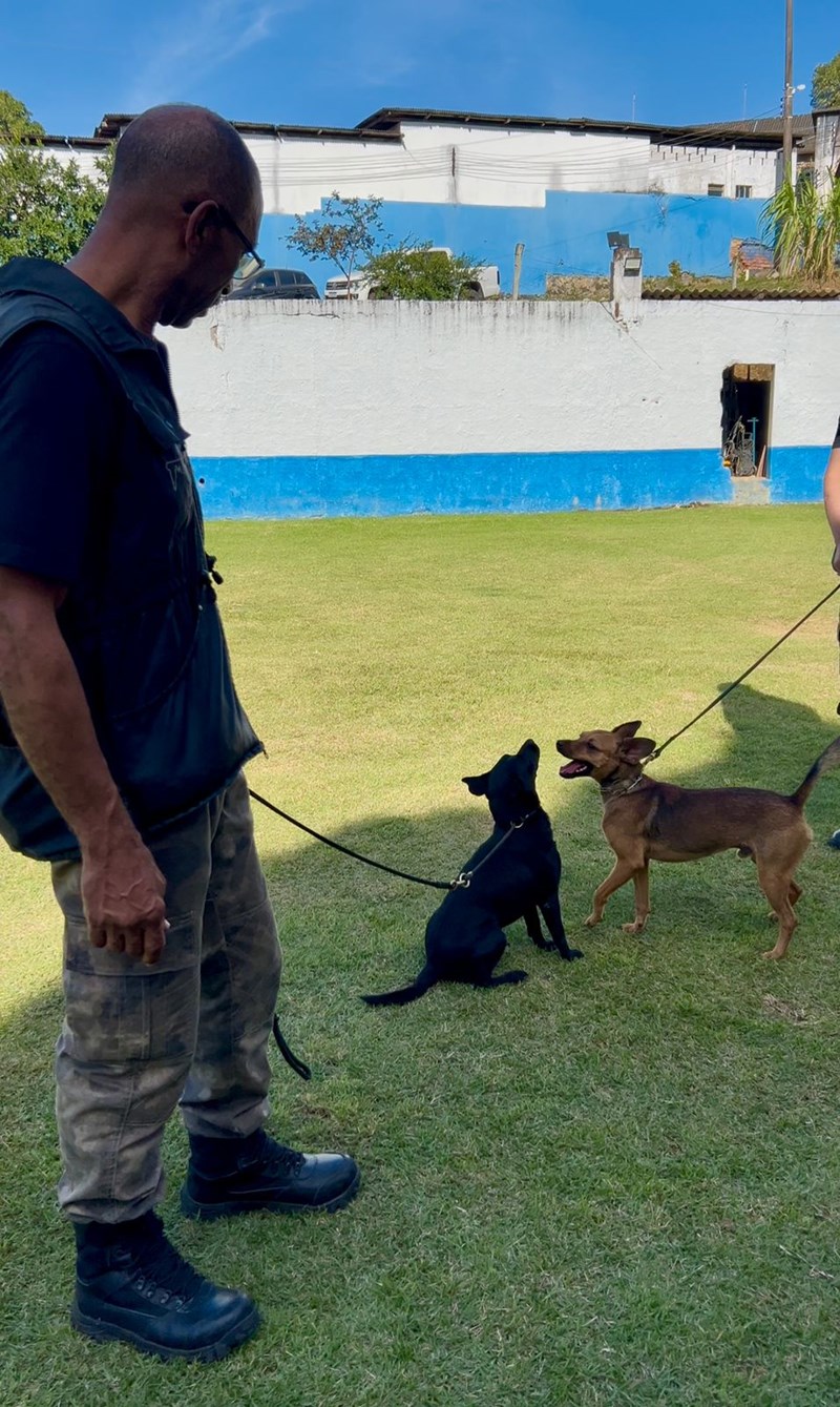 Foto: Reprodução/Polícia Militar - ES