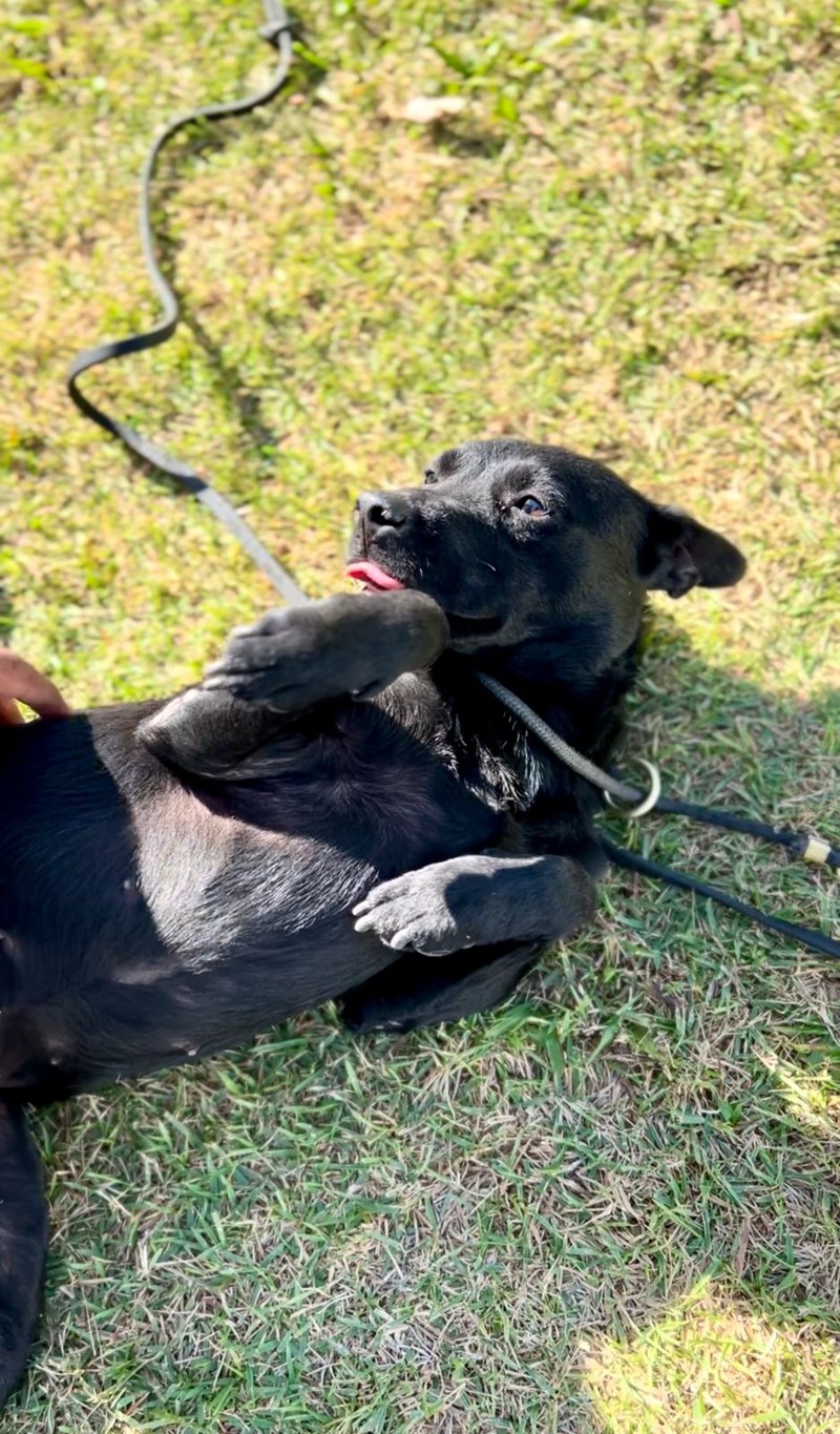 Foto: Reprodução/Polícia Militar - ES