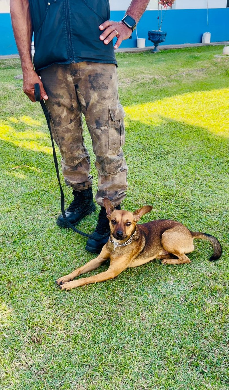 Foto: Reprodução/Polícia Militar - ES