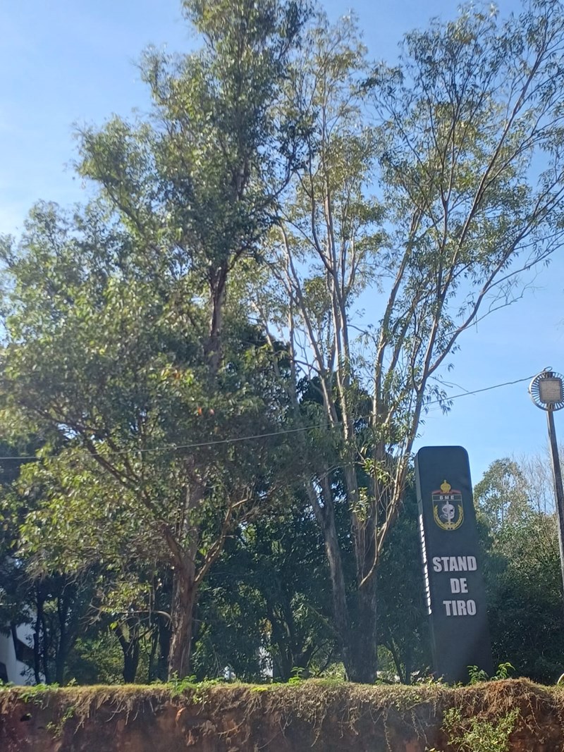 Foto: Reprodução/Polícia Militar - ES