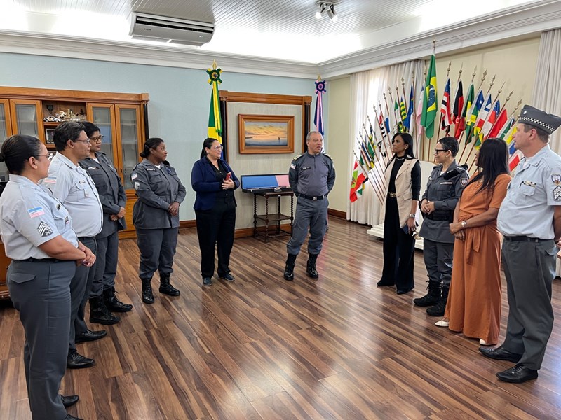 Foto: Reprodução/Polícia Militar - ES