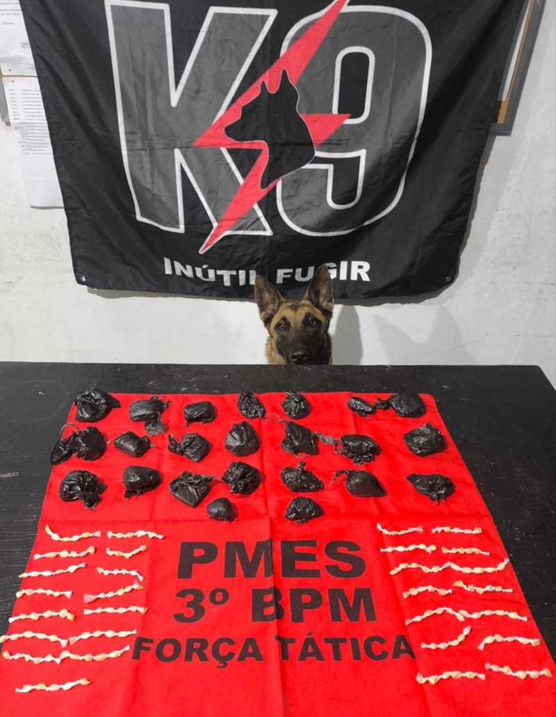 Foto: Reprodução/Polícia Militar - ES