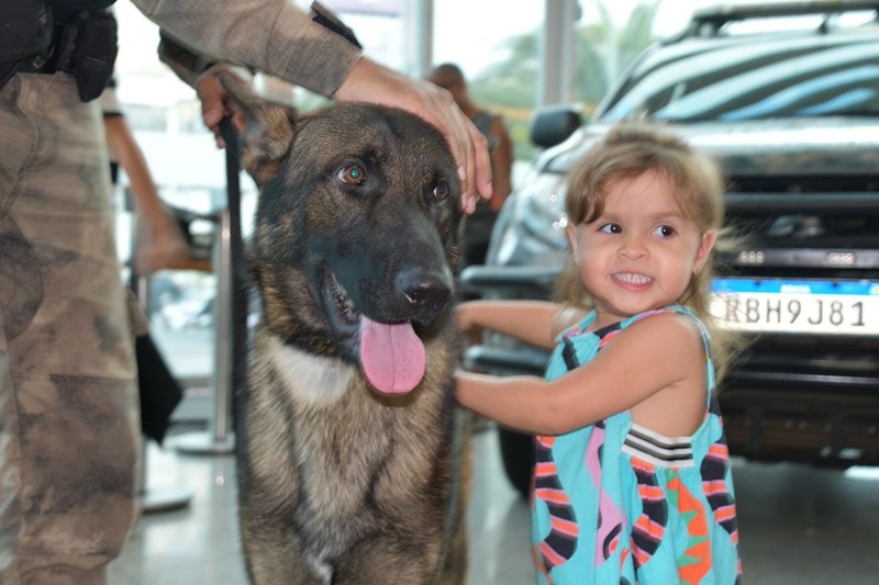Foto: Reprodução/Polícia Militar - ES