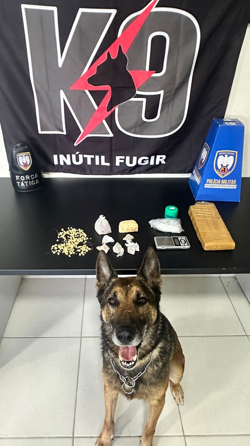 Foto: Reprodução/Polícia Militar - ES