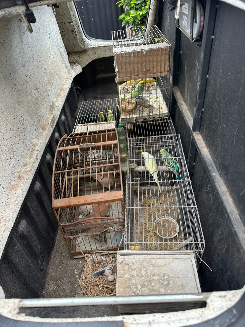 Foto: Reprodução/Polícia Militar - ES